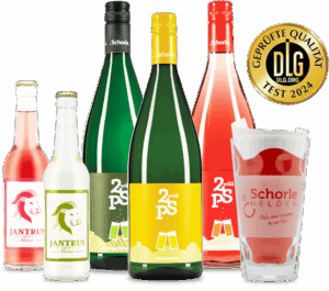 6er Schorle Probepaket