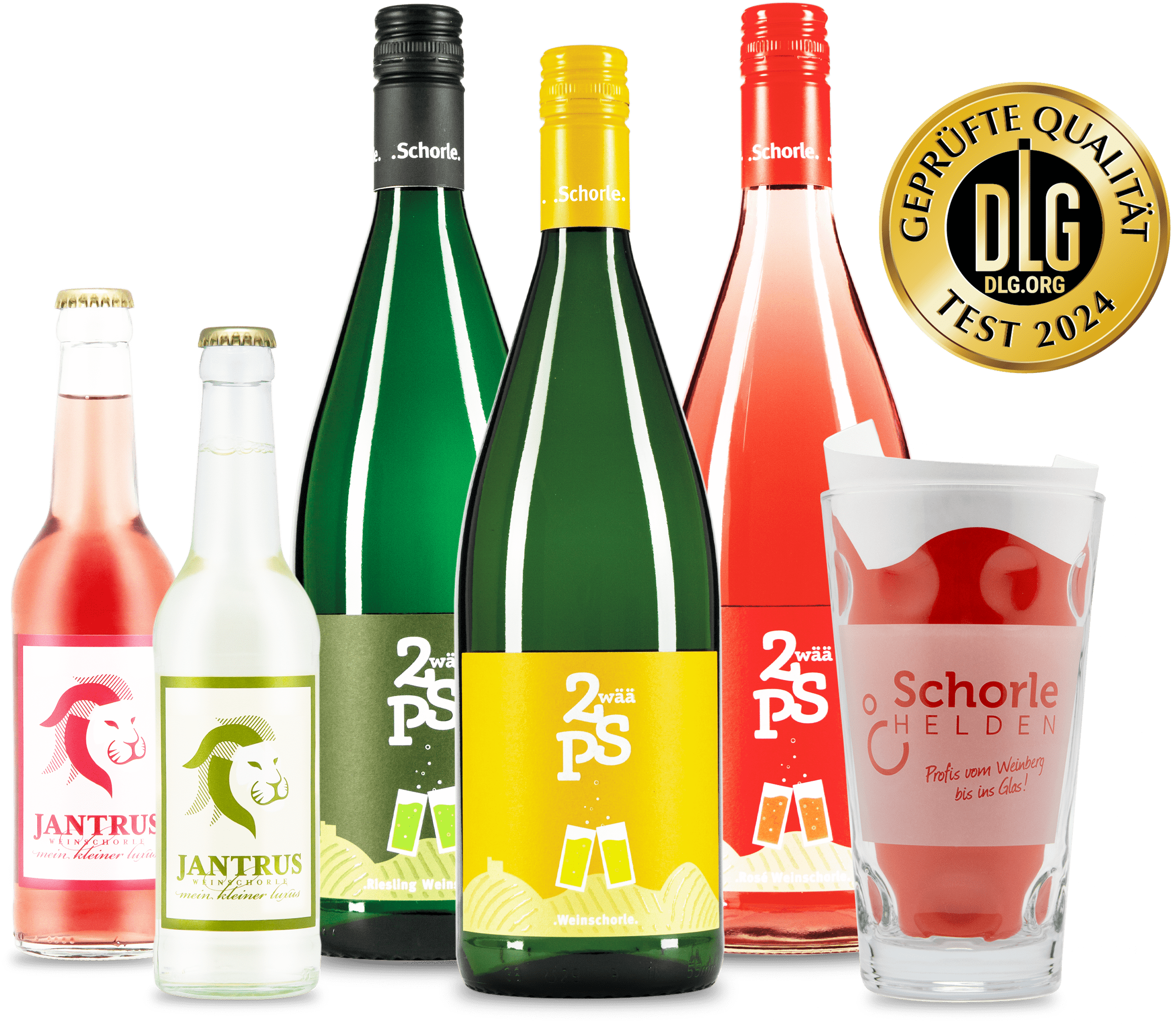 6er Schorle Probepaket