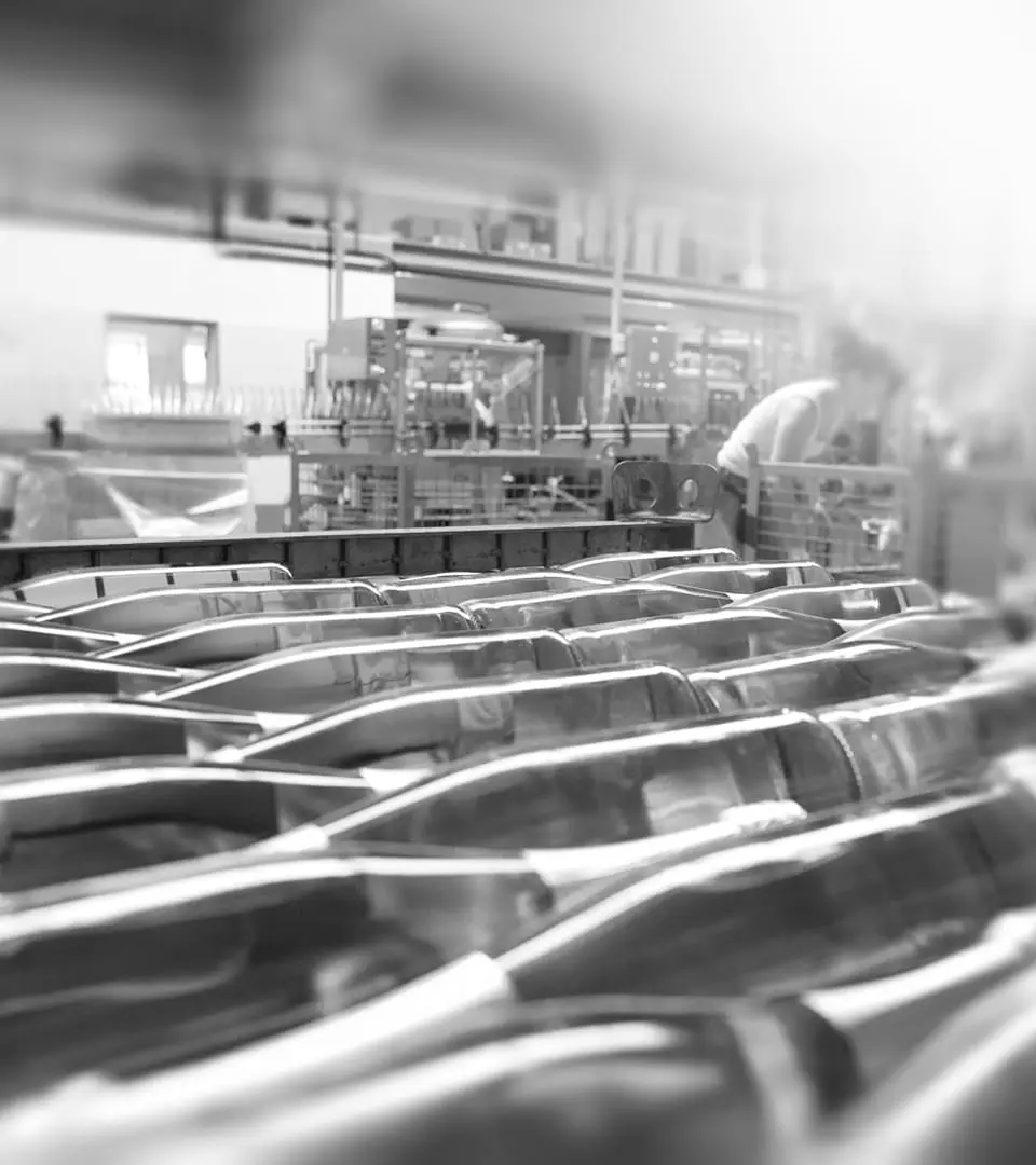 Raubritter vom Wiesental