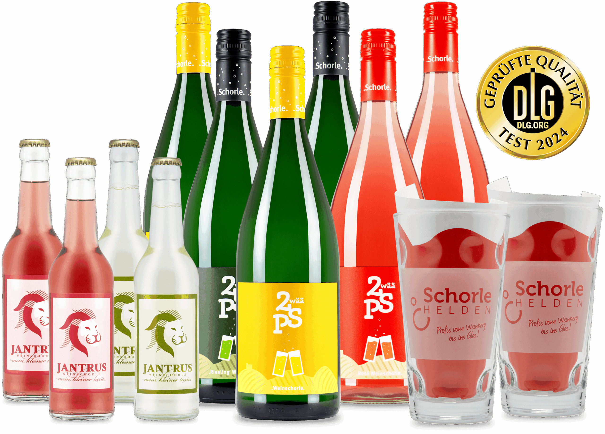 12er Schorle Probepaket