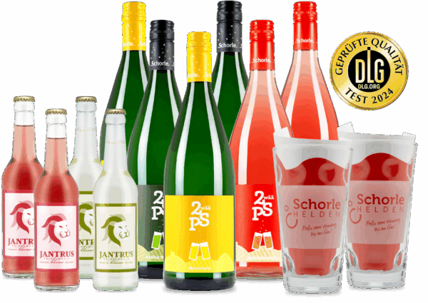 12er Schorle Erlebnispaket - Frei wählbar!