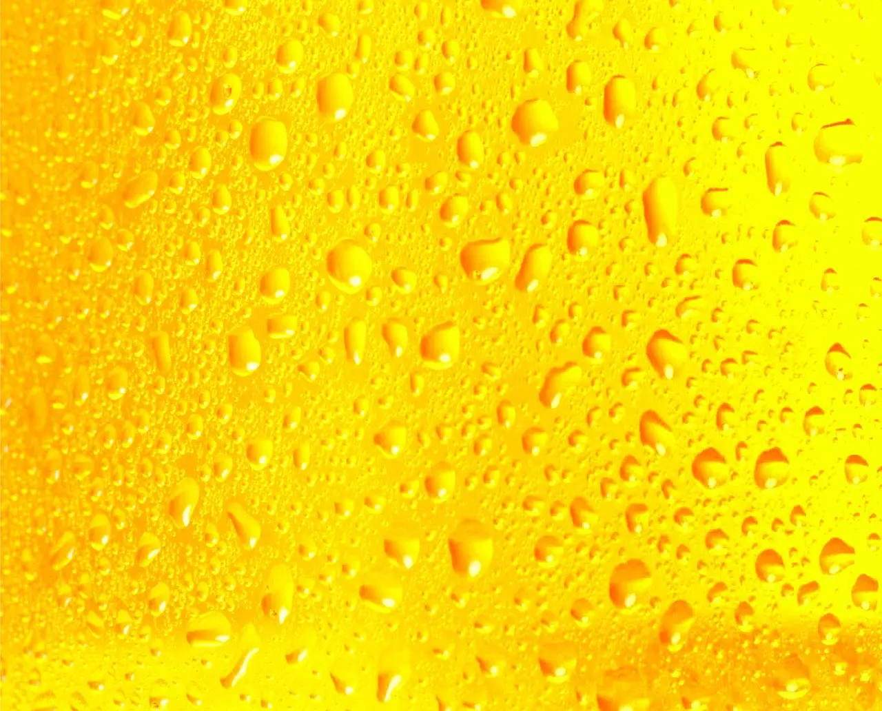 Ottersheimer Bärenbräu